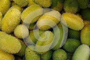 Exotic cucumbers photo