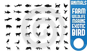 Exotic and domestic animal icon set