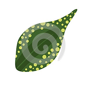 Exotic Dotted Leaf Composition