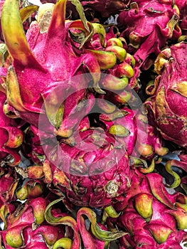 Exotic Dragon Fruit Indigenous to Central America