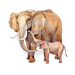 Exotic elephant wild animal in a watercolor style isolated.