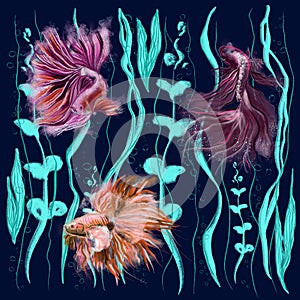 Exotic fish and seaweed animalistic illustration