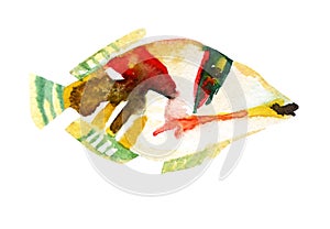 Exotic fish & x28;tropical Picasso triggerfish& x29;. Watercolor