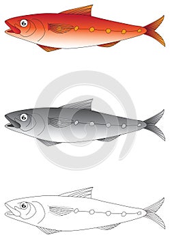 Exotic fish vector illustration