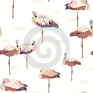 Exotic flamingo wildlife seamless pattern