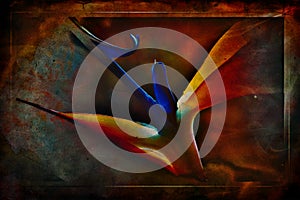 Exotic flower background textured