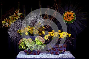Exotic flowers arrangement against dark background