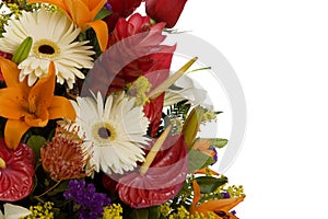 Exotic flowers arrangment II