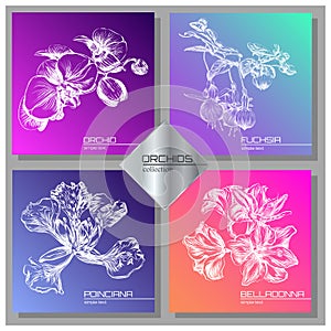 Exotic Flowers Collection: Poinciana, belladonna, fuchsia and orchid Card Set.