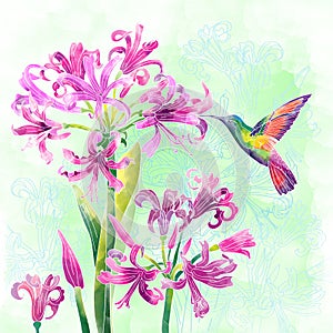 Exotic flowers and humming bird
