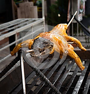 Exotic food - crocodile on grill