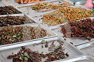 Exotický jídlo smažený hmyz 