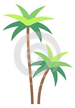 Exotic forest tree flat icon. Tropical palm