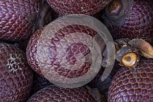Exotic fruit of America: Aguaje or Moriche, palm fruit, buriti nuts, mauritia flexuosa, Maurity palm photo