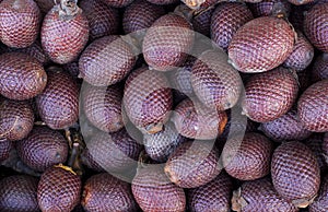 Exotic fruit of America: Aguaje or Moriche, palm fruit, buriti nuts, mauritia flexuosa, Maurity palm photo