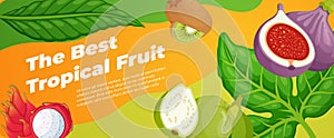 Exotic fruit horizontal advertising banner vector flat tropical edible plants jungle Asian food
