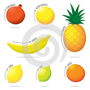 Exotic Fruit Illustration Set