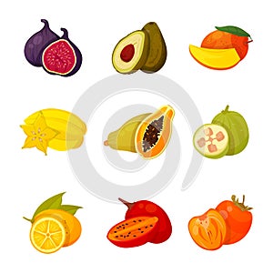 Exotic fruit set