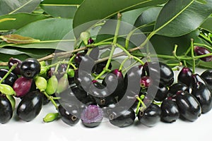 Exotic fruit Syzygium cumini called in Brazil as jamelÃ£o in white background with one cut