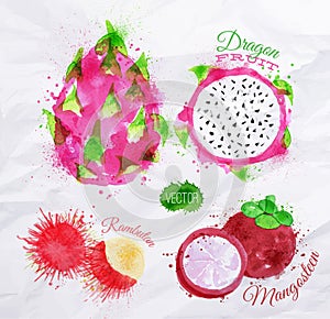 Exotic fruit watercolor dragon fruit, rambutan,