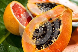 Exotic fruits background. Papaya and orange citrus fresh fruits on tropical leaf green background