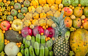 Exotic fruits display