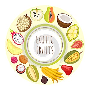 Exotic Fruits Durian Apple Papaya Citron Vector