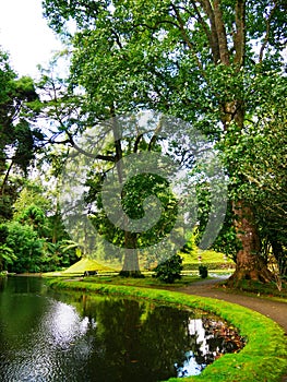 Exotic garden Parque Terra Nostra in the town of Furnas on the island of Sao Miguel in the Azores