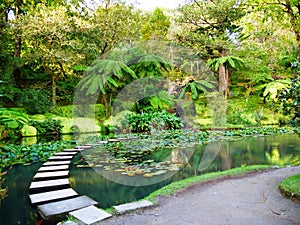 Exotic garden Parque Terra Nostra in the town of Furnas on the island of Sao Miguel in the Azores