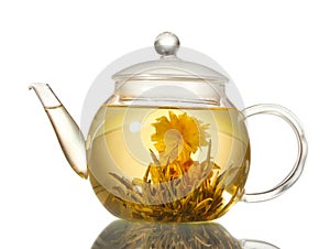 Exotic green tea with flowers in glass teapot