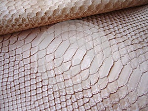 Exotic haberdashery leather, python skin, snake skin. Pink leather for accessories.