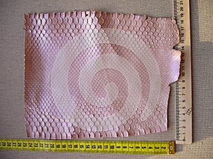 Exotic haberdashery leather, python skin, snake skin. Pink leather for accessories.