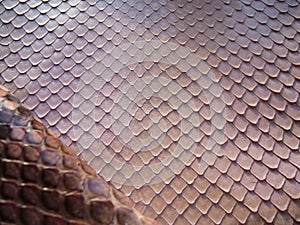 Exotic haberdashery leather, python skin, snake skin. Pink leather for accessories.