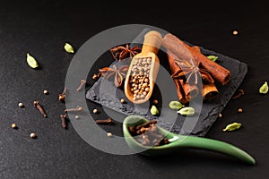 Exotic herbal Food concept Mix of the organic Spices cinnamon stick, cardamom pods, star anise and coriander seeds on a black