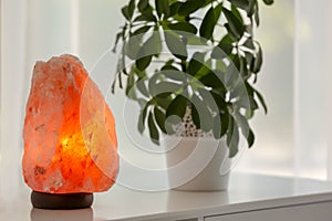 Exotic Himalayan salt lamp