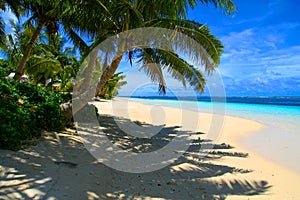 Exotic holidays destination, tropical palm tree above sunny beach with shadow on white sand