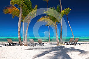 Exotic island beach with palm trees on the Caribbean Sea shore, summer tropical panorama landscape. Punta Cana, Bavaro resort,