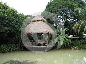 Exotic jungle hut