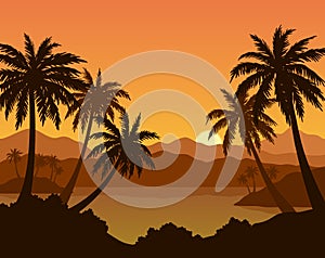 Exotic Landscape with Palm