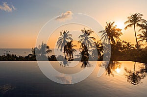 Exotic landscape view with palm trees reflected in surface of water in pool during orange sunset
