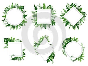 Exotic leaf frame. Spring leaves card, tropical tree frames and vintage floral jungle border isolated vector set