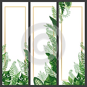 Exotic leaves banner. Tropical monstera leaf, palm branch and vintage hawaii nature plants vertical banners vector