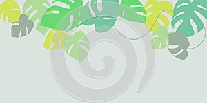 Exotic leaves banner - vector illustration