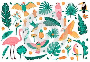 Exotic leaves and birds. Tropical leaves, flowers and fauna birds, parrot, pink flamingo and toucan. Jungle exotic