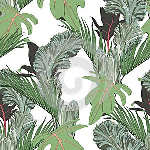 Exotic leaves, green tropical palms and cacti, white background. Floral seamless pattern.