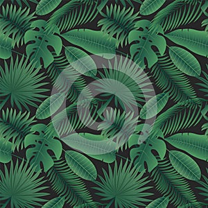 Exotic leaves pattern. Seamless print with tropical jungle greenery and palm tree leaves. Vector texture