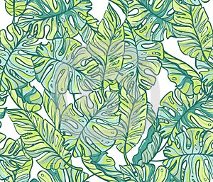 Exotic leaves, rainforest. Seamless hand drawn pattern.