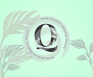 Exotic Letter Q Logo with Monstera Plant Leaf Texture Design Logo Icon. Creative Tropical Monstera Plant Alphabetical Nature Logo