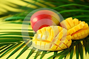 Exotic mango fruit over tropical green palm leaves on yellow background. Copy space. Pop art design, creative summer