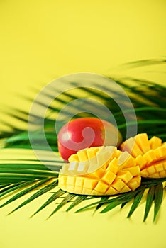 Exotic mango fruit over tropical green palm leaves on yellow background. Copy space. Pop art design, creative summer